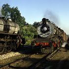 Steamy Crossing at Motichur, Uttar Pradesh