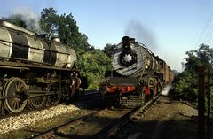 Steamy Crossing at Motichur, Uttar Pradesh