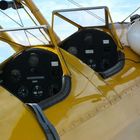 Stearman