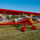 Stearman Sunset