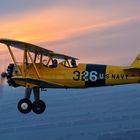 Stearman über Bienenfarm