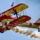 Stearman Wing-Walker ...dann rechts