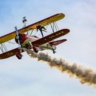 Stearman Wing-Walker - erst links...