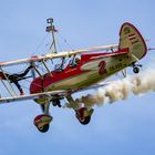 Stearman Wing-Walker ...jetzt raus!