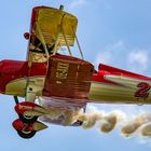 Stearman Wing-Walker ...nun vor