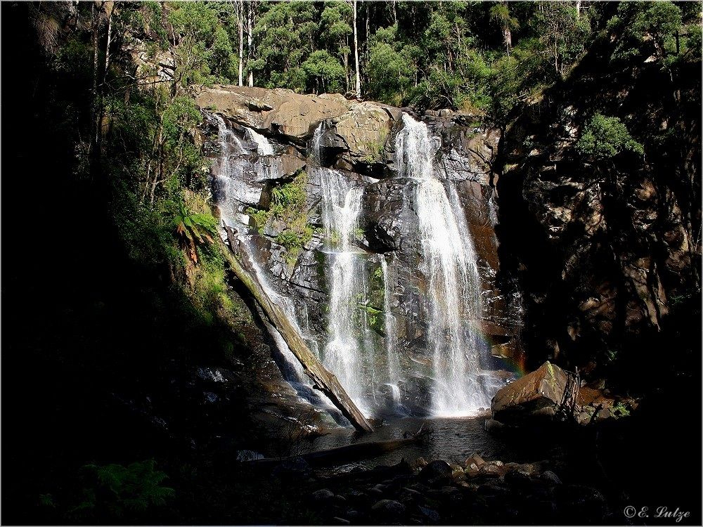 ***-Steavenson-Falls ***