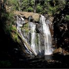 ***-Steavenson-Falls ***