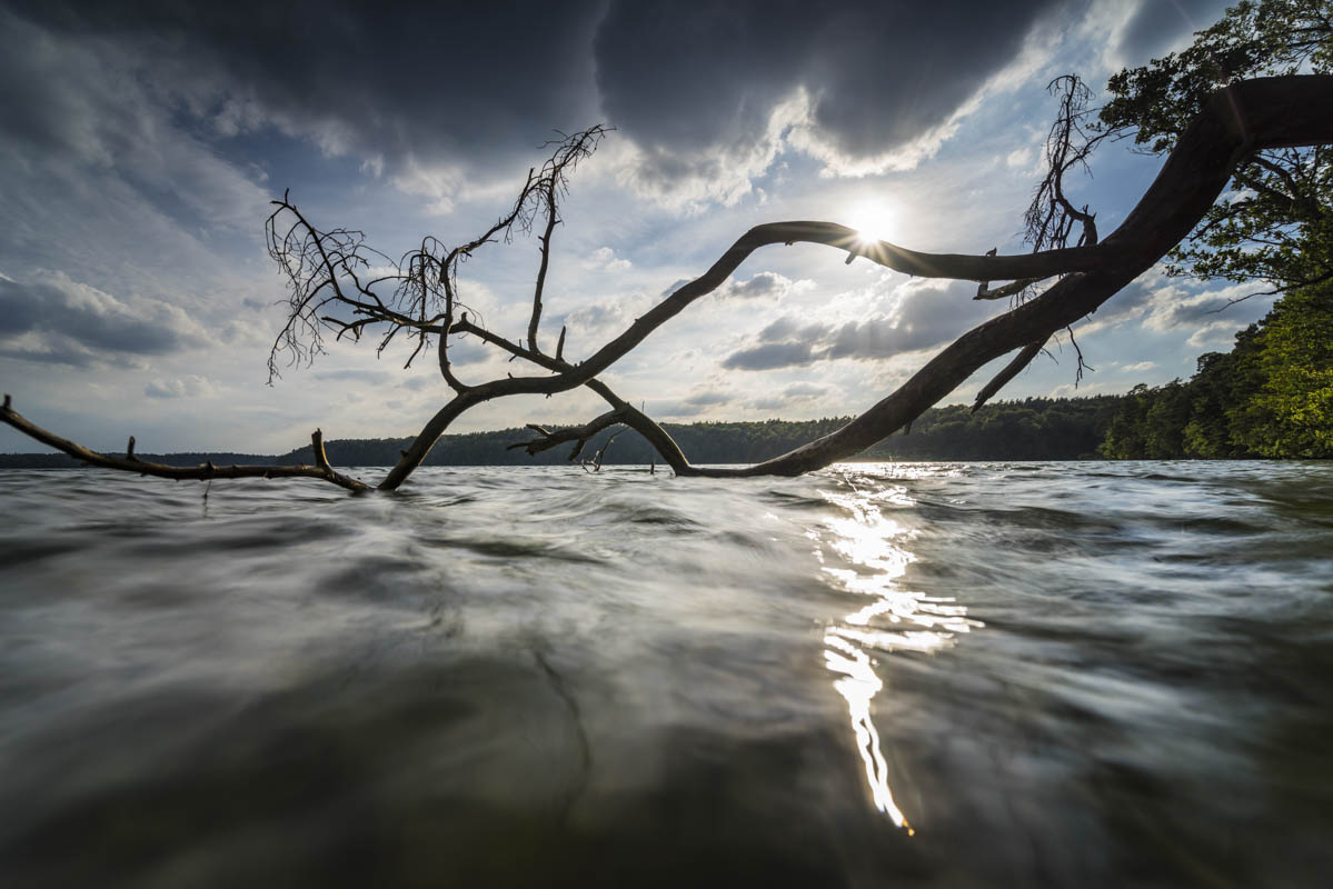 Stechlin im Sommer