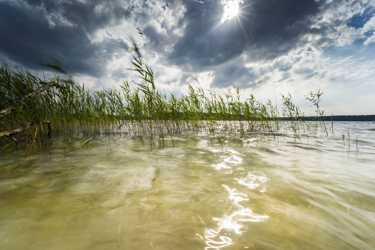 Stechlin im Sommer