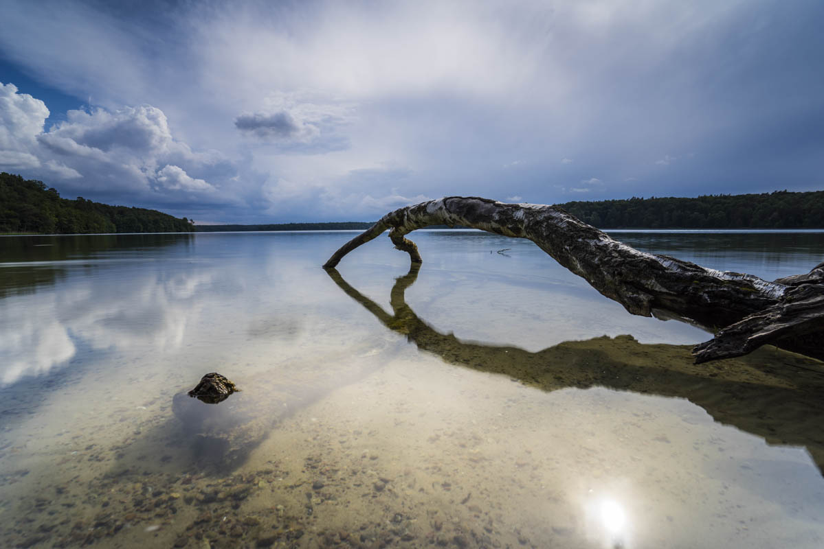 Stechlin im Sommer