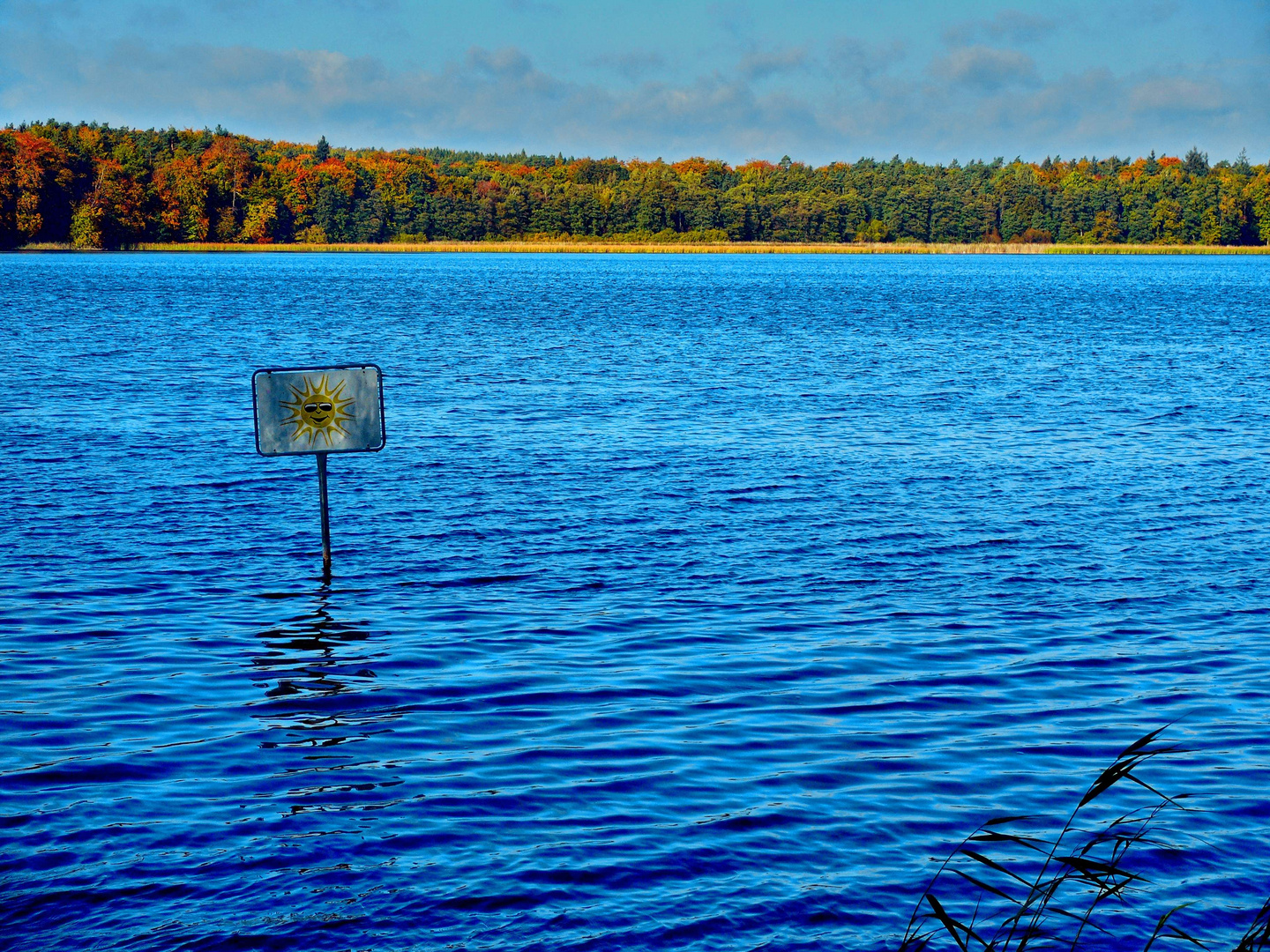 Stechliner See im Herbst