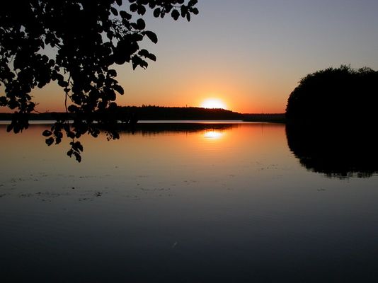 Stechlinsee am Abend