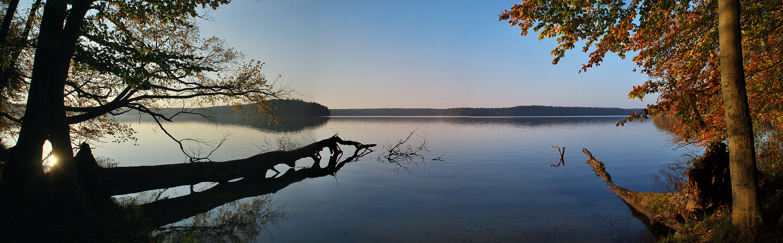 Stechlinsee Herbst - Panorama