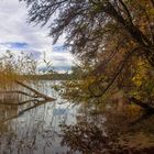 Stechlinsee im Herbst [3]