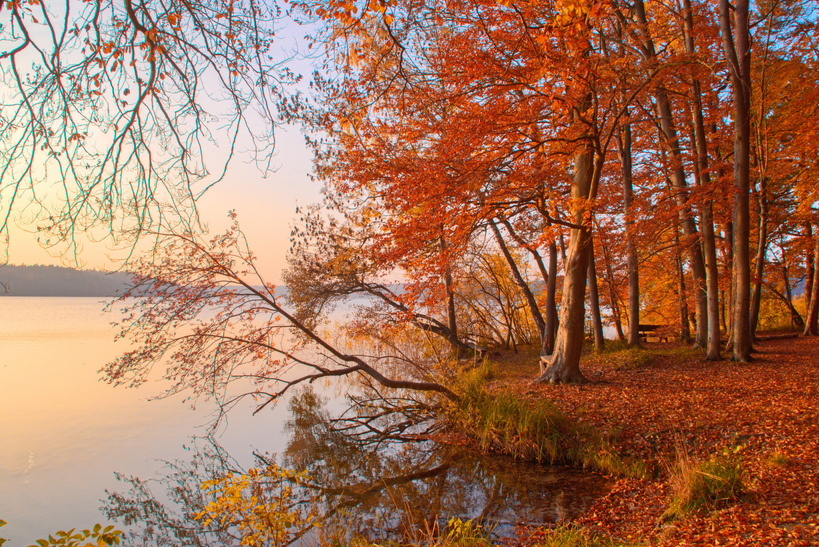 Stechlinsee im Herbst