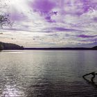 Stechlinsee im Herbst [4]