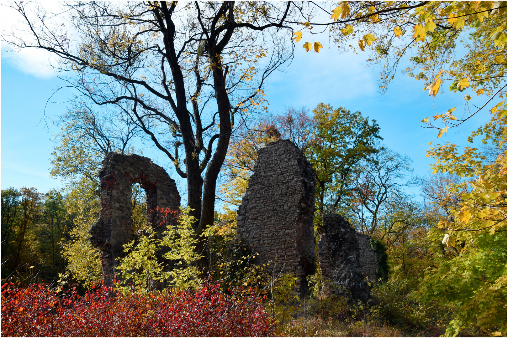 Stecklenburg 4