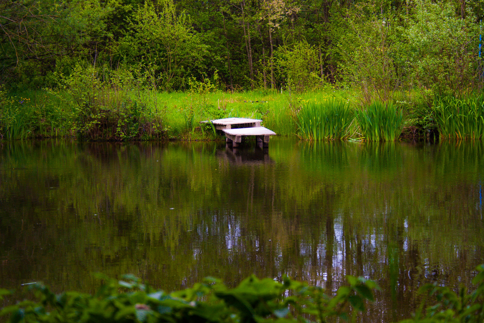 Steeg am Weiher