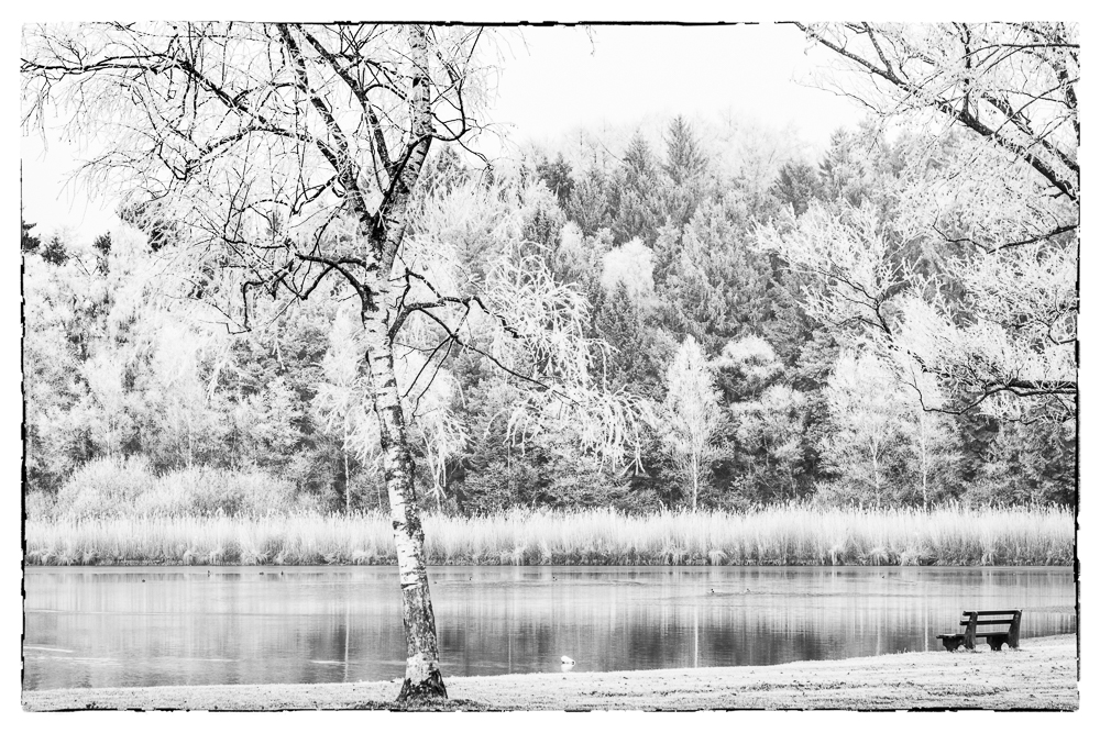 Steegersee Aulendorf