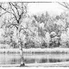 Steegersee Aulendorf