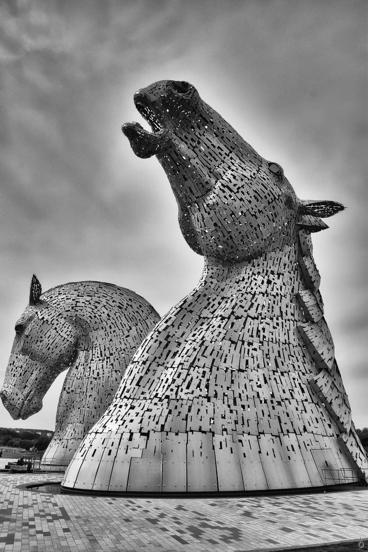 Steel  Ahead    --   The Kelpies   ©D4738_IPBW-F2h