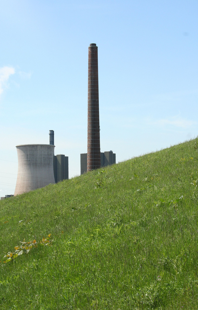 Steel, aus dem Boden gewachsen