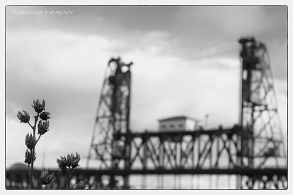 Steel Bridge 22