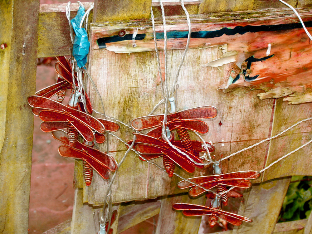 Steel Dragonflies