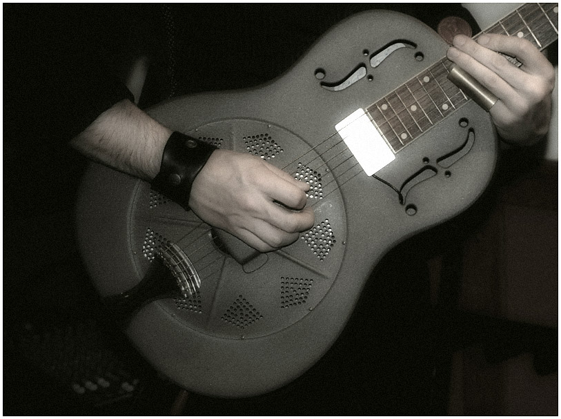 steel guitar detail