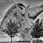 Steel Head   --   The Kelpies   ©D4755--X_BW-F2