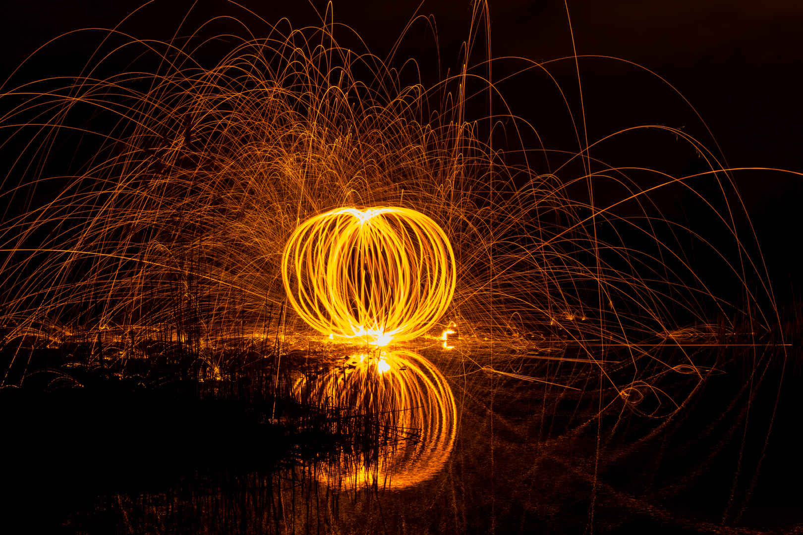 Steel Wool 3