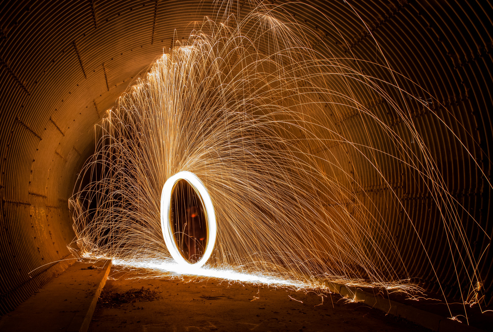 Steel Wool 4