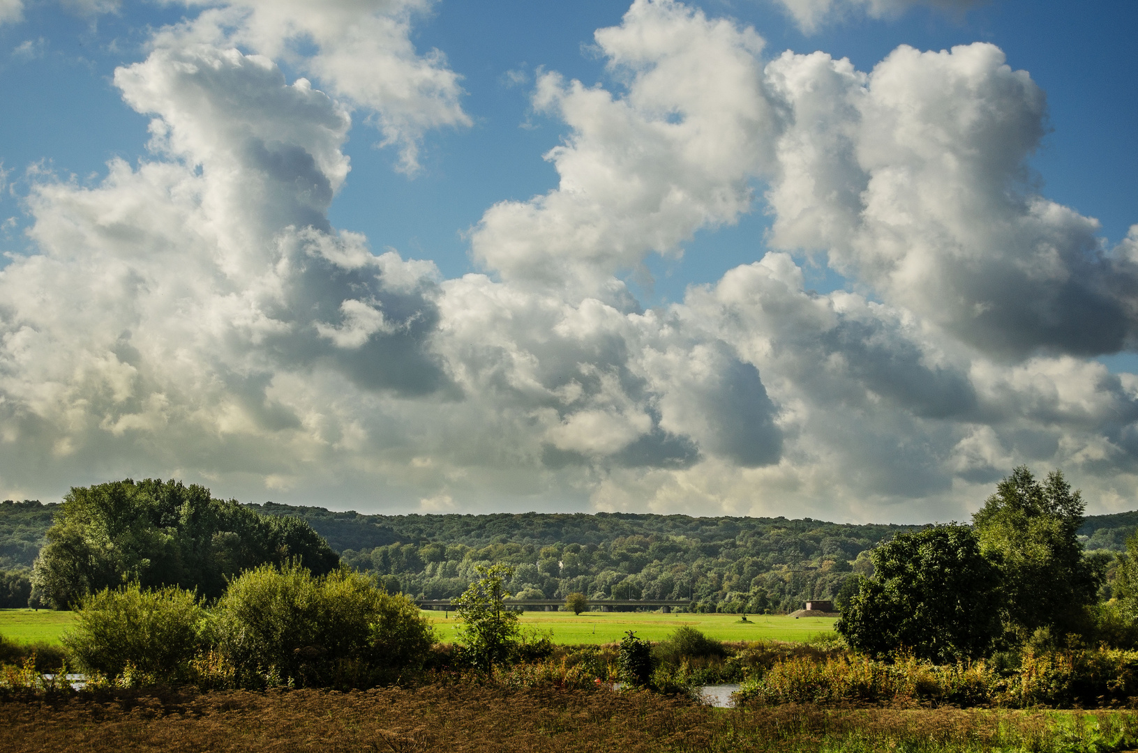 Steele Ruhr