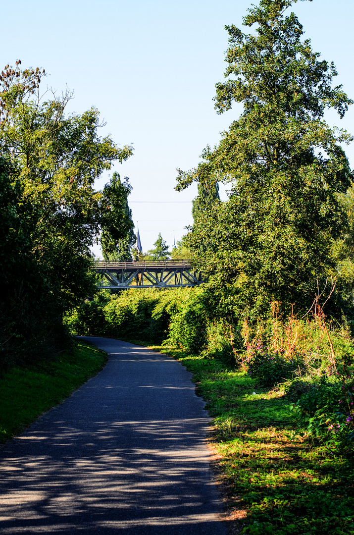 Steele Ruhr (Eisenbahnbrücke)