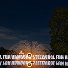 *SteelWool Fun Hamburg*