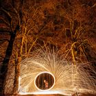 Steelwool under trees