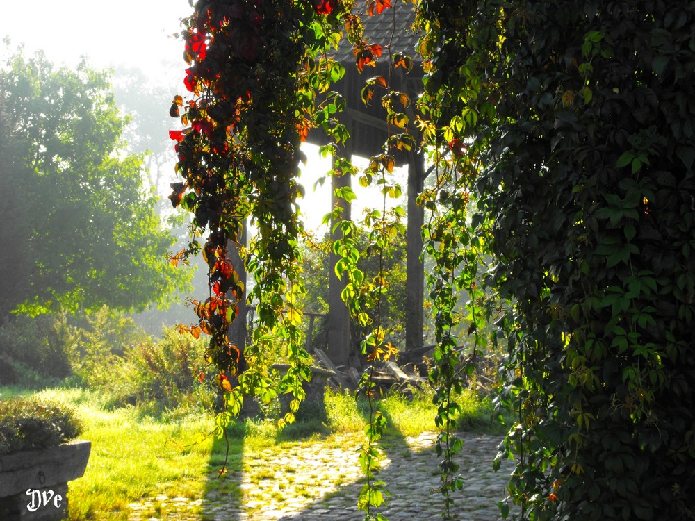 Steenkerque le matin