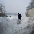 User Profile Photo