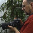 User Profile Photo