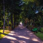 Stefan-Park Chisinau