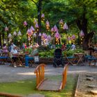 Stefan-Park Chisinau