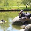 Stefans Fotograffe