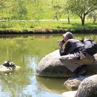 Stefans Fotograffe