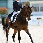 Steffen Peters