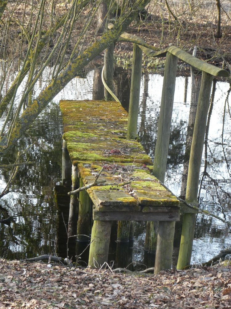 Steg Foto & Bild | landschaft, bach, fluss & see, see, teich & tümpel