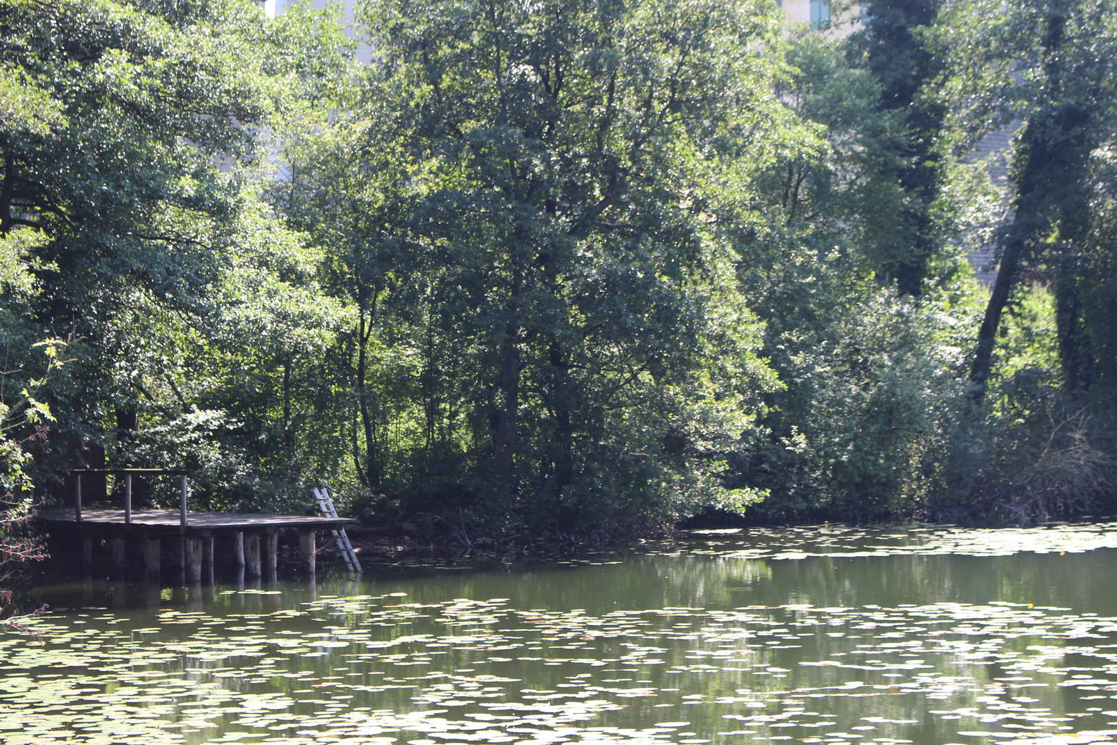 Steg am Abtsee