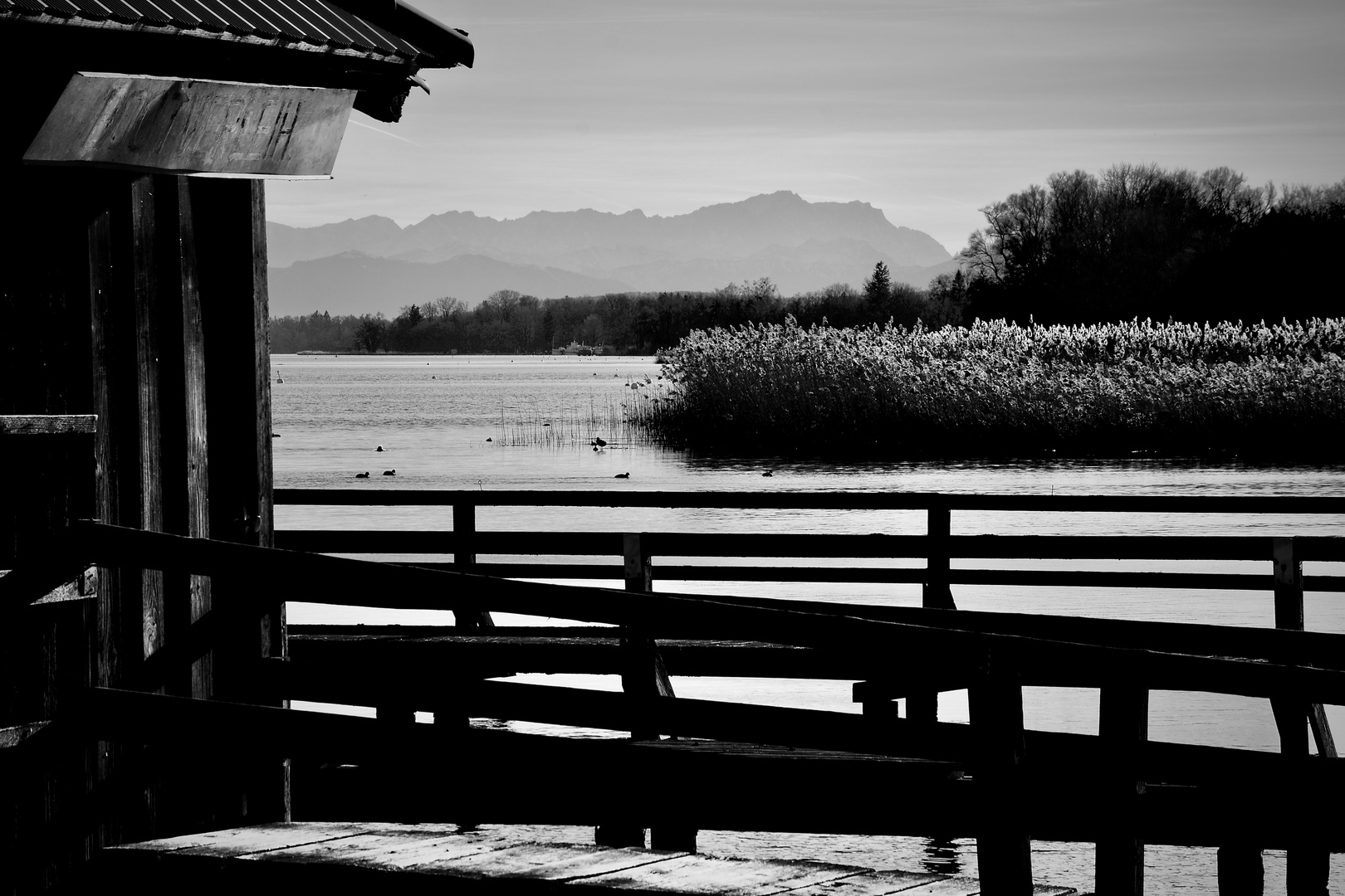 Steg am Ammersee