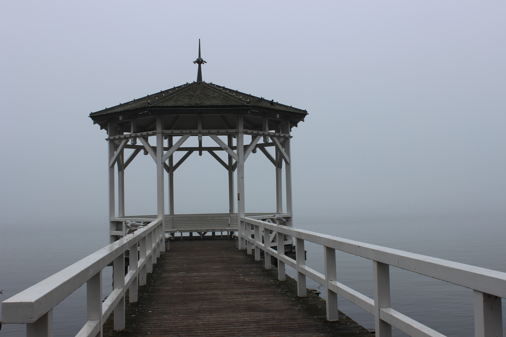 Steg am Bodensee