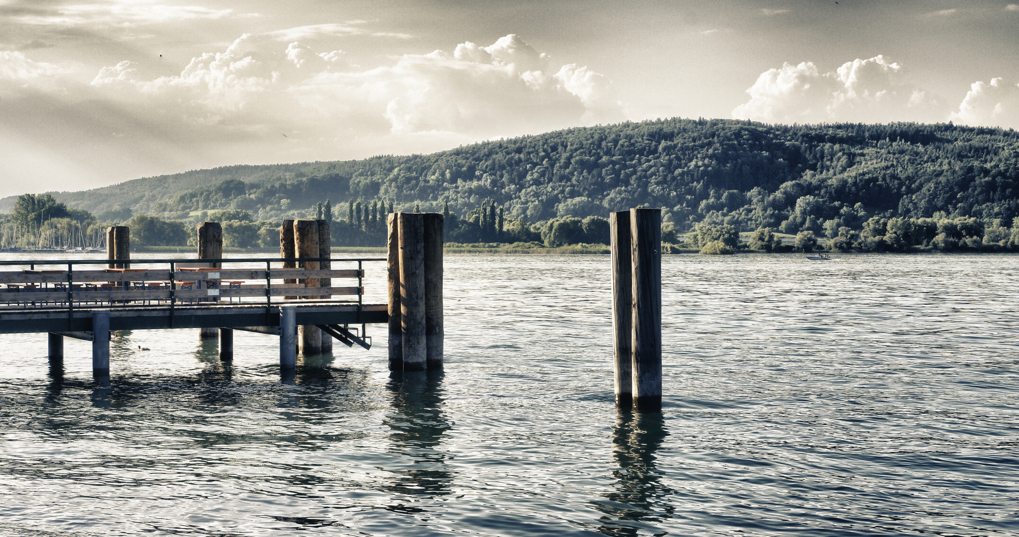 Steg am Bodensee