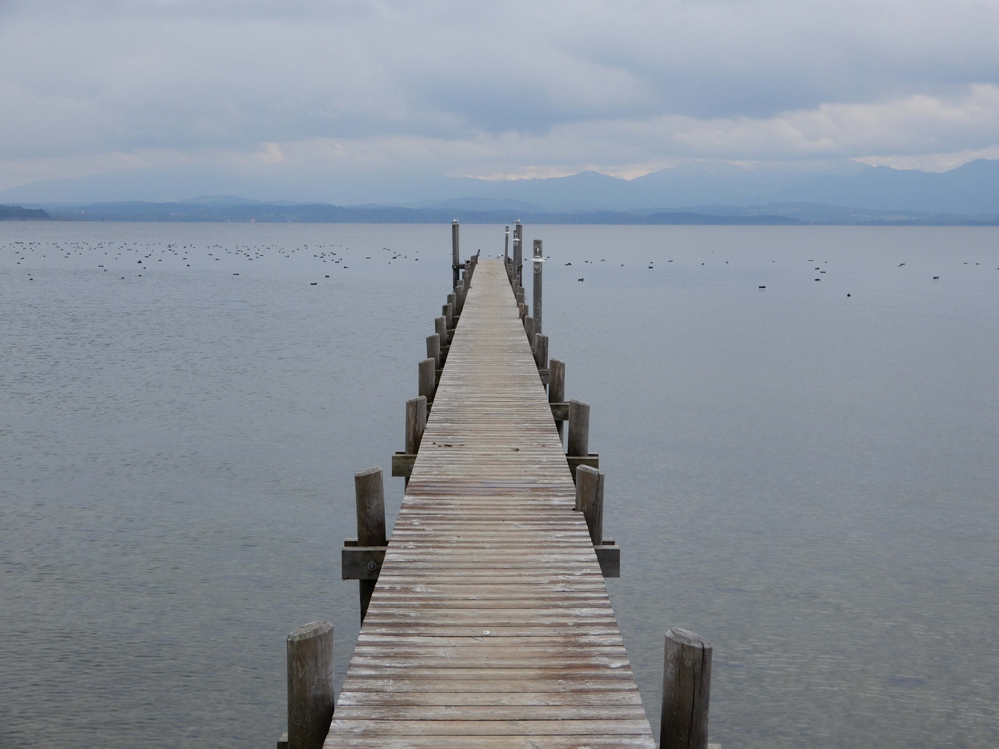 steg am Chiemsee